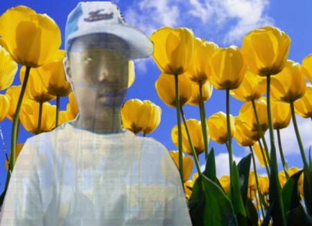 bay len ma 